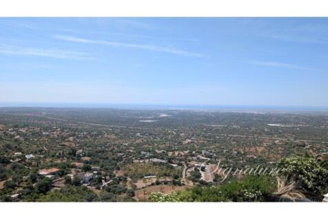 PXL_20250613_102917495