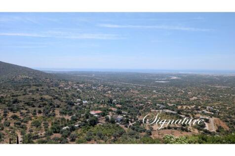 PXL_20250613_102929118