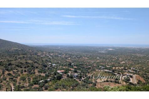 PXL_20250613_102929118