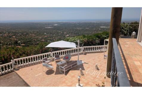 PXL_20250613_104041288