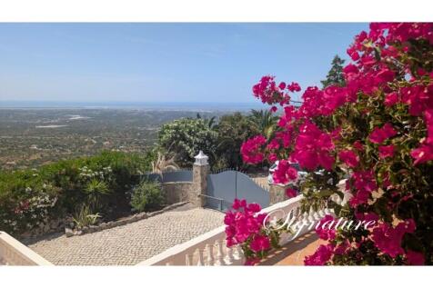 PXL_20250613_104159864