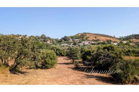 PXL_20250815_092419301~2