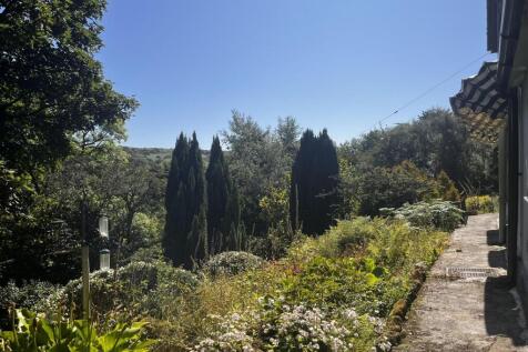 IMG_1622.JPEG