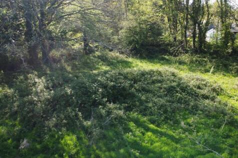 DJI_0963.JPG
