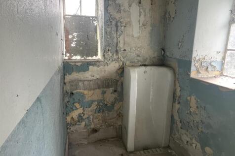 IMG_2321.JPEG