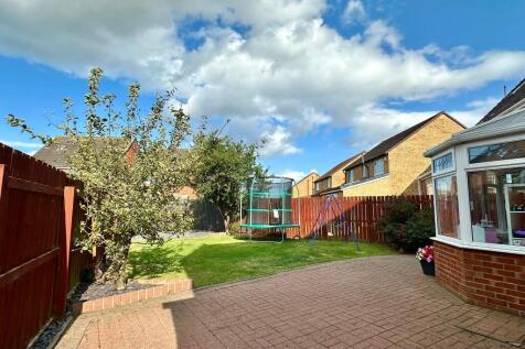 Property Image 32