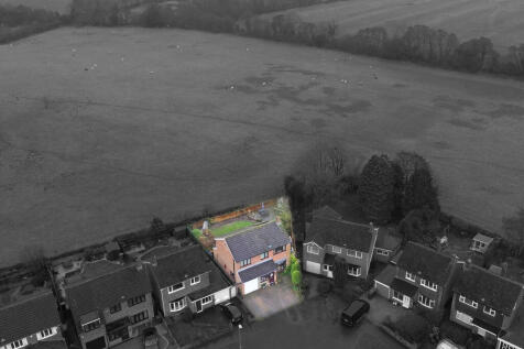 DJI_0196 copy