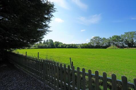 Onlooking Field