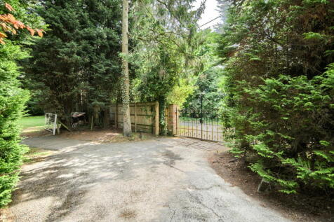 Property Image 34