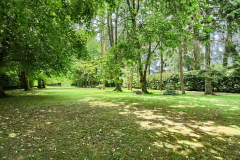 Property Image 57