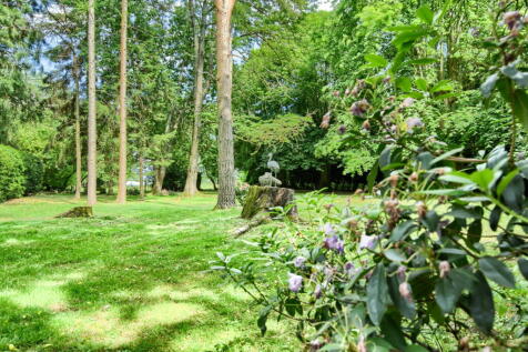 Property Image 58