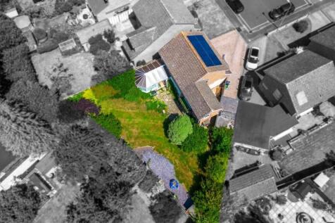 Plot View