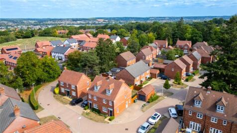 Drone Picture