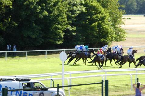 Racecourse View