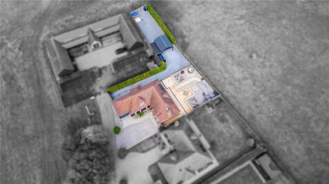 Plot Size