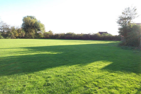 Ramby&#39;s Site Pic 2.png