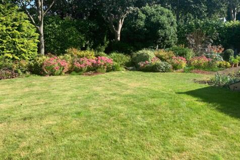 Owners own garden photo