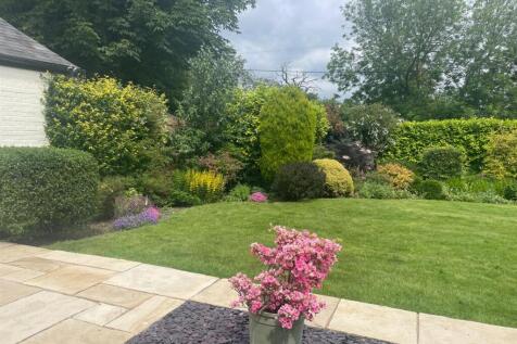 Owners own garden photo