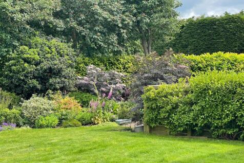 Owners own garden photo