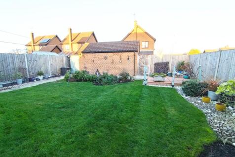 1000000390 - Copy.jpg