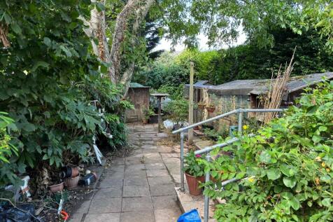 11. Rear Gardens