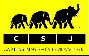 aWAITING IMAGES image.jpg