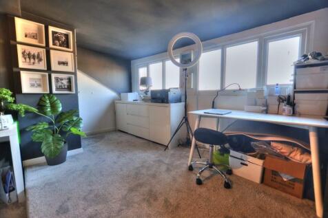 DSC_3459_Enhancer.jpg