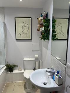 image3 (4).jpeg