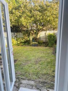 Garden 3.jpg