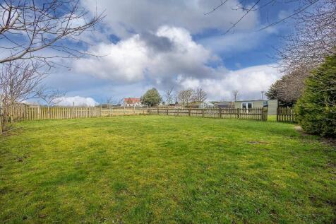 Field