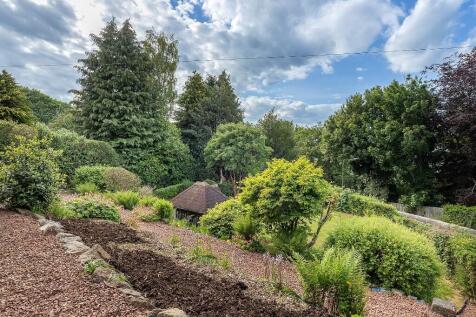 Back Garden