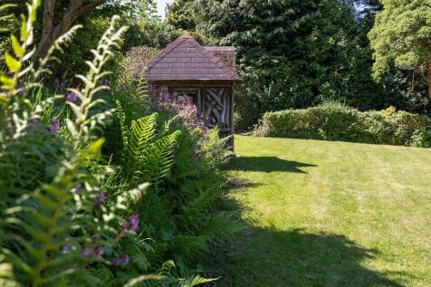 Back Garden