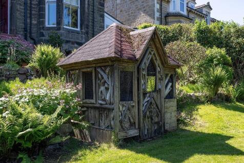 Back Garden