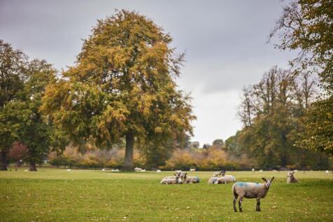 Kings Park Oct Local Area