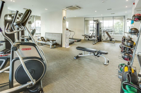 Gym.png