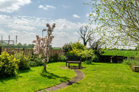 Garden (backs ont...