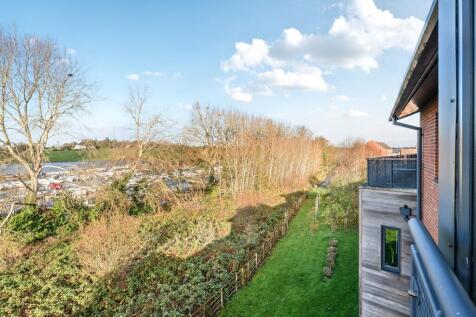 View from Living Room