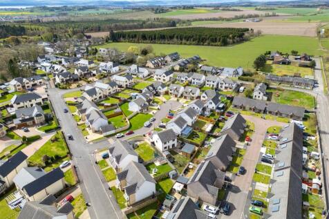 DJI_0499.jpg