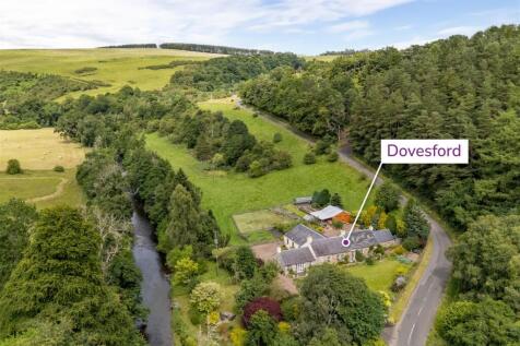 dovesford-02.jpg