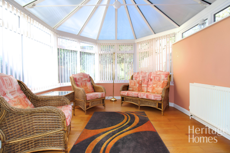 IMG_8857-fotor-20251114113039