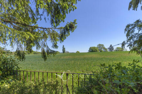 Field Views