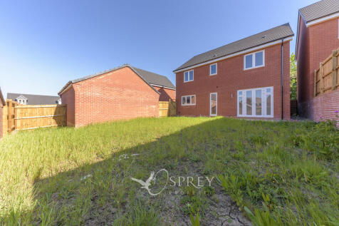 Rear Elevation 