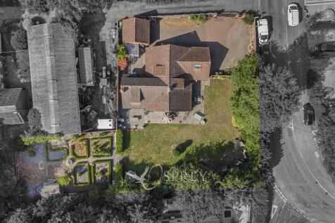 Plan View 