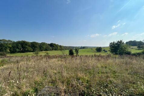 Garden &amp; View