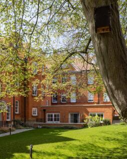 Property Image 28