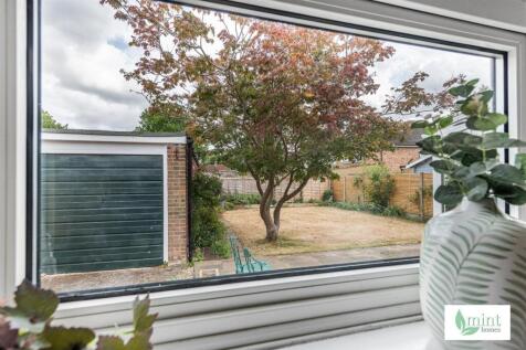 mint_homes_rosetor__35_.JPG