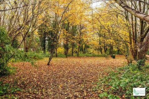 Watermark - 50 Albert Road-30.jpg