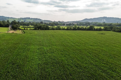 DJI_0230
