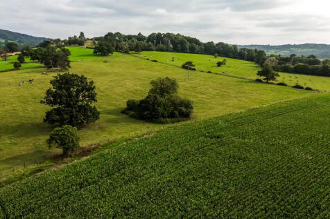 DJI_0232
