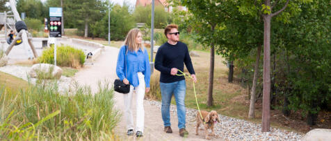 A young couple walking with a dog in a green park area with trees and a playground in the background